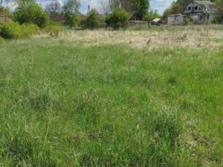 продаж ділянка сільськогосподарського призначення Броварський, Гребель