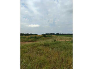 продаж ділянка сільськогосподарського призначення Бучанський, Луб`янка