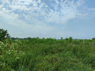 продаж ділянка сільськогосподарського призначення Бучанський, Озера, 1