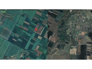 продаж ділянка сільськогосподарського призначення Карлівський, Федорів