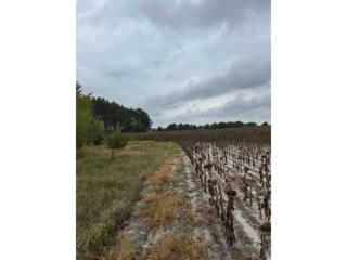 продаж ділянка сільськогосподарського призначення Вишгородський, Литви