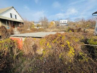 Teren pomicol (extravilan) cu o suprafață de 5.6 ari în Codru!!!!