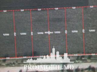 Spre vânzare se oferă teren agricol, situat în com. Colonița. ...