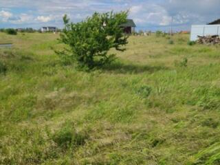 Предлагается к продаже земельный участок в Фонтанке. Общая площадь ...