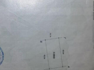 Совиньон Зеленый Гай участок  8,49 соток