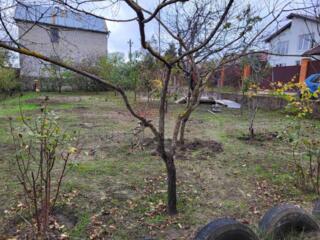 Продам ділянку 6с. садівництво, Нова Долина/Грібний кан, без комісії