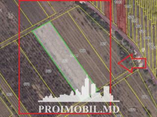 Spre vânzare se oferă teren agricol, situat în Durlești. Suprafața ...