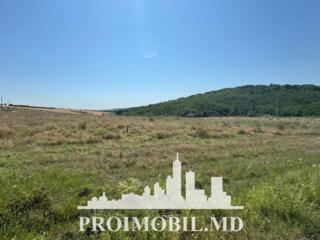 Spre vânzare se oferă teren pentru construcții, situat în ...