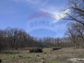 Se vinde vila Zaicani r.Criuleni