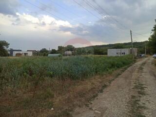 Teren lângă Nistru, satul Onițcani, Criuleni