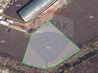 Teren pentru construcții Măgdăcești, Criuleni