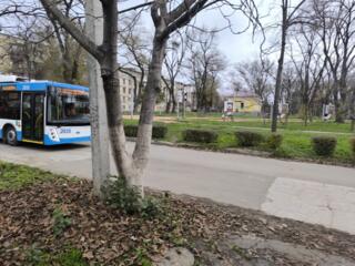 Парковая зона!