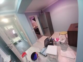 Vopsirea peretilor, podurilor