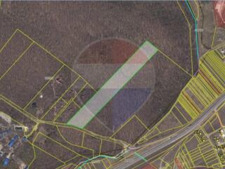 Teren 2,7 ha dezvoltare turistică + 6,3242 ha teren împădurit