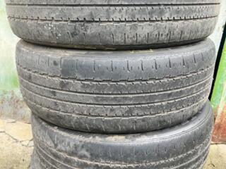 Triangle 245 55 19 m+s