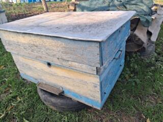 Улей для пчёл