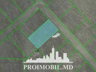 Spre vânzare se oferă teren pentru construcții, situat în ...