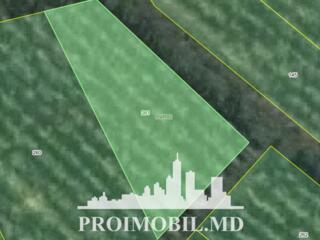 S pre vânzare se oferă teren cu destinație grădină, situat în ...