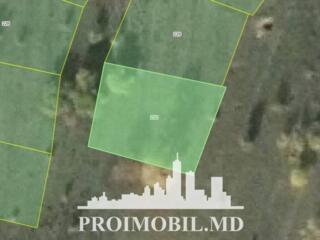 Spre vânzare se oferă teren pomicol, situat în Trușeni.Suprafața ...