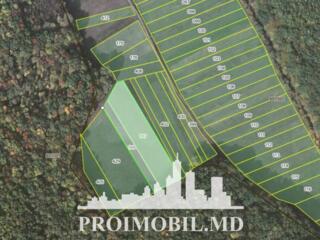 S pre vânzare se oferă teren cu destinație agricolă, situat la prima .