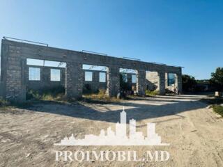 Spre vânzare spațiu pentru depozit, a mplasat în Ialoveni, str. Iuri .