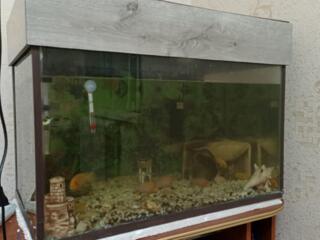Аквариум на 140 литров с подсветкой, фильтром.