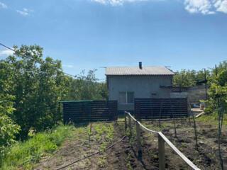 Straisteni (Bacioi), afacere activa, livada cu nuci, casa, teren 67 ari