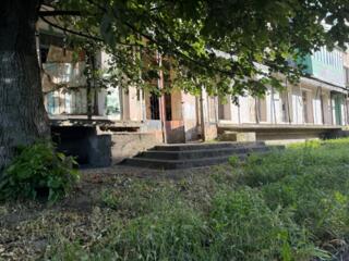 Коммерческое помещение свободного назначения