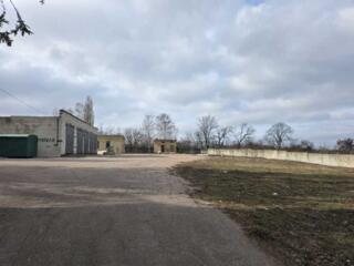 продаж приміщення вільного призначення, будівлі Білоцерківський, Біла 