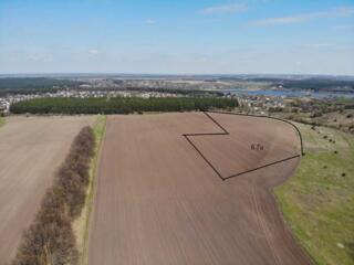 продаж ділянка під житлову забудову Фастівський, Велика Солтанівка, 33