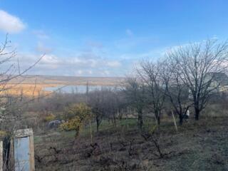 Teren 12 ari, Razeni, Ialoveni