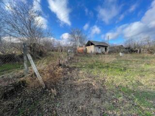 Teren 8 ari, Ialoveni, Rusești Noi