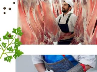 Мужская работа за границей — Голландия!