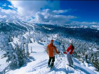 Vacanță la munte - Cele mai bune prețuri!