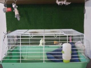 Клетки для животных и птиц б/у