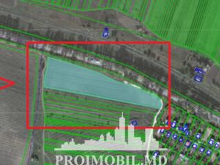 Spre vînzare se oferă teren agricol, situat în r-nul. Srășeni, st. ...