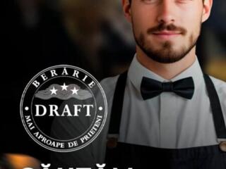 Căutăm persoane energice, responsabile și pasionate de domeniul horeca