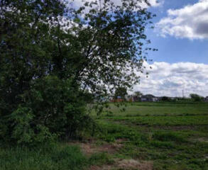 продаж ділянка під житлову забудову Броварський, Русанів, 4000 $