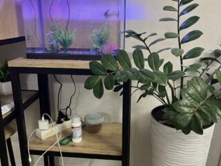 Аквариум с оборудованием, подставкой и рыбками