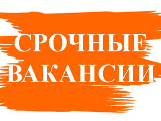 Легальная работа!