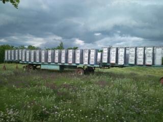 Прицеп для перевозки пчел