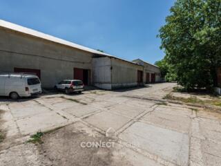 str. Burebista,  Ungheni, Moldova