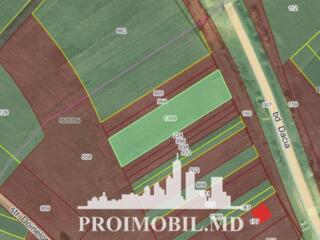 Spre vânzare se oferă teren cu destinație agricolă, situat în ...