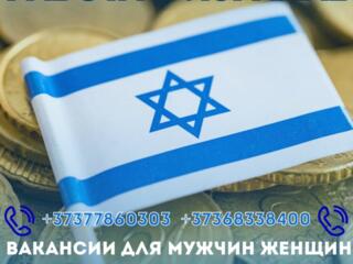 РАБОТА В ИЗРАИЛЕ