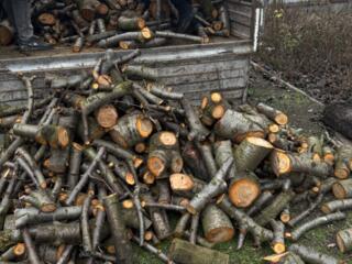 Дрова фруктовые Бесплатная доставка