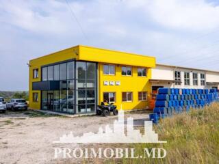 Sprevânzare bazăde producere în sat. Ghidighici. Suprafața totală 537 