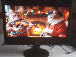 МОНИТОР LG \20"\ Б/у дёшево -500руб. ТИРАСЛОЛЬ,!!!