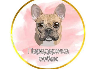 Надёжное содержание и уход за вашей собакой