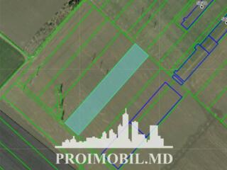 S pre vânzare se oferă teren agricol, situat pesect. Botanica, bd. ...