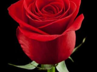 Девушка познакомится